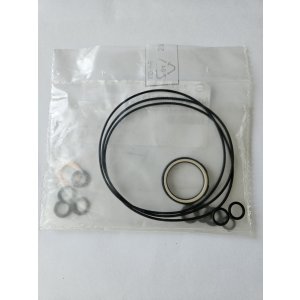 Zestaw uszczelek do hydromotoru brony aktywnej BRZV100 S14 HPS