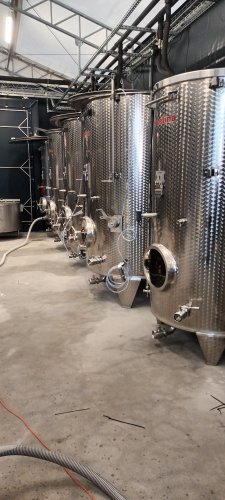 Winnica Powiercie, Wielkopolska, wrzesień 2022