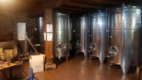 Fermentowania winiarni, Lipiec-Sierpień 2019