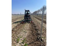 Winnica Pałac Mała Wieś, kwiecień 2023